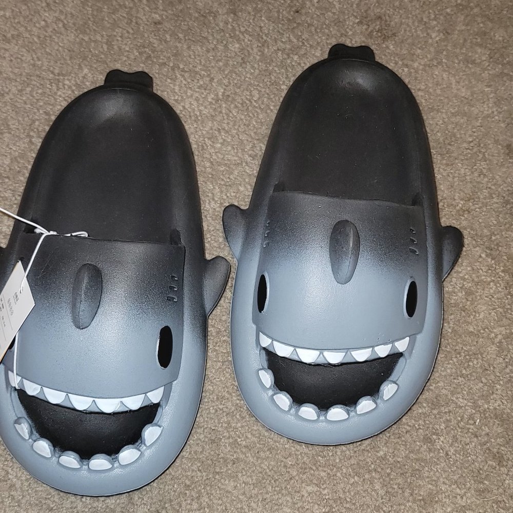 shark flip flops